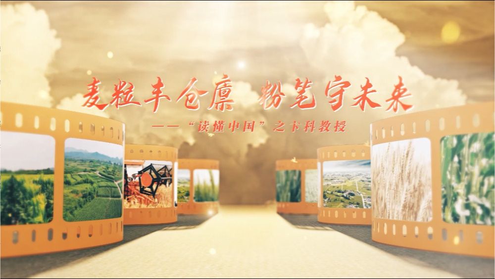 留桃子汉化组最新移植游戏桃子汉化组最